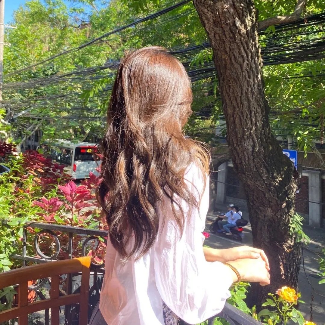 再会吧!青春小鸟